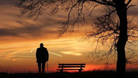 A person stands beside an empty bench under a bare tree, watching an orange sunset sky