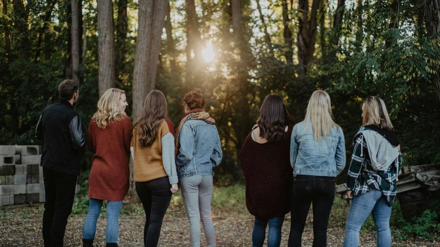 A group of friends stands side by side with their backs to the camera, facing sunlight through autumn woods